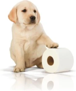 Page Toiletpapier - 32 Rollen - Kussenzacht Wc Papier (3-laags) - Voordeelverpakking -HG Winkel 1001x1200 3