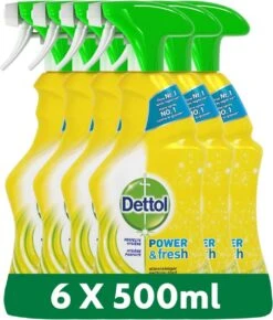 Dettol - Power & Fresh - Allesreinger Spray - Citrus - 6 X 500 Ml 13 Dettol - Power & Fresh - Allesreinger Spray - Citrus - 6 X 500 Ml -HG Winkel 1021x1200 4