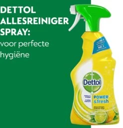 Dettol - Power & Fresh - Allesreinger Spray - Citrus - 6 X 500 Ml 15 Dettol - Power & Fresh - Allesreinger Spray - Citrus - 6 X 500 Ml -HG Winkel 1150x1200 6