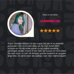 DONGOODS® Toiletblokjes Voor Inbouwreservoirs – WC-blokjes – Toiletblokken In Een Voordeelverpakking – 12 Stuks -HG Winkel 1197x1200 17