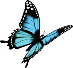 4x Robijn Klein & Krachtig Wasmiddel Black Velvet 1,19 Liter 17 4x Robijn Klein & Krachtig Wasmiddel Black Velvet 1,19 Liter -HG Winkel 1200x1118 1