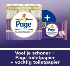 Page Vochtig Toiletpapier - 12 X 38 Stuks - Kussenzacht Vochtig Wc Papier - Voordeelverpakking -HG Winkel 1200x1138 1