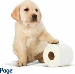 Page Toiletpapier - Eco - Duurzaam - 24 Rollen - Voordeelverpakking -HG Winkel 1200x1186 11