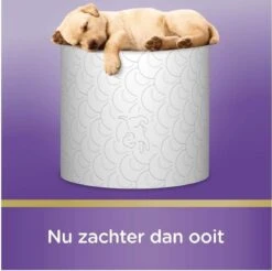 Scottex Toiletpapier - Kussenzacht Design Wc Papier - 84 Rollen 9 Scottex Toiletpapier - Kussenzacht Design Wc Papier - 84 Rollen -HG Winkel 1200x1197 38