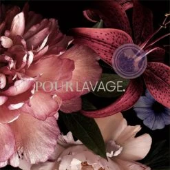 Lavayette Premium Wasparfum - Jasmin Shades - Geurbooster 500ml (Diamante) -HG Winkel 1200x1200 1026