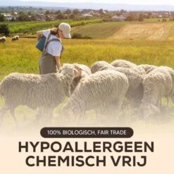 Drogerballen - Droogballen - Wasdrogerballen - Dryerballs - 6 Stuks - XL Formaat - Wol - Set -HG Winkel 1200x1200 1212