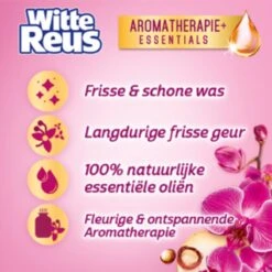 Frisse Reus Orchidee Macadamia Gel Wasmiddel - Vloeibaar - 80 Wasbeurten - Voordeelverpakking -HG Winkel 1200x1200 224