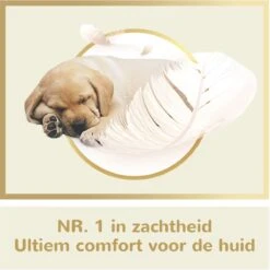 Page Puur Toiletpapier - 24 Rollen - Extra Duurzaam Wc Papier - Voordeelverpakking -HG Winkel 1200x1200 2289