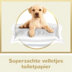 Page Puur Toiletpapier - 24 Rollen - Extra Duurzaam Wc Papier - Voordeelverpakking -HG Winkel 1200x1200 2290