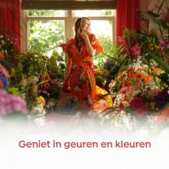 Robijn Color & Passiebloem Wasmiddel En Wasverzachter Pakket - 5 Stuks - Voordeelpakket -HG Winkel 1200x1200 235