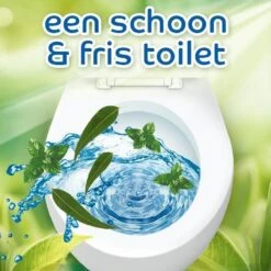 Witte Reus Pro Nature Munt Eucalyptus - 10 Stuks -HG Winkel 1200x1200 2743