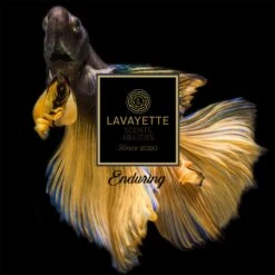 Lavayette Premium Wasparfum - Proefpakket 9x25ml - Geurbooster -HG Winkel 1200x1200 47