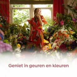 Robijn Klein & Krachtig Zwitsal Vloeibaar Wasmiddel - 2 X 34 Wasbeurten - Voordeelverpakking -HG Winkel 1200x1200 510