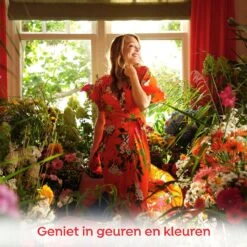 Robijn Klein & Krachtig Color Vloeibaar Wasmiddel - 8 X 20 Wasbeurten - Voordeelverpakking -HG Winkel 1200x1200 725