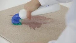 Dr. Beckmann Tapijtvlekkenborstel - Tapijtreiniging - Tapijt Vlekverwijderaar Met Borstel - Schoon Tapijt - Dierenvlekkenverwijderaar -HG Winkel 1200x674 1