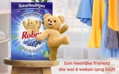 Robijn Geurbuiltje Intense 3 STUKS - Geur- Geurbuiltjes- Geurzakjes Voor In De Kledingkast -HG Winkel 1200x742 14