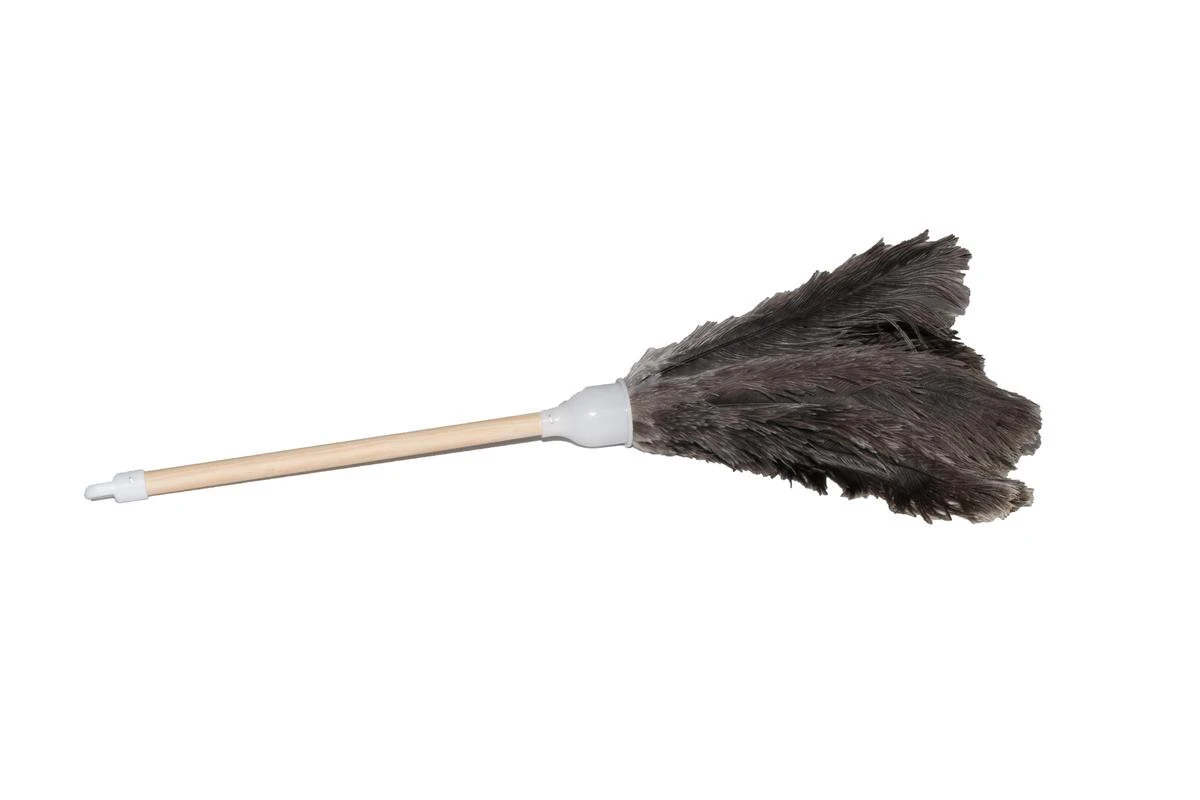 Plumeau Struisvogelveren - Lengte 50cm 1 Plumeau Struisvogelveren - Lengte 50cm