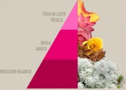 Horomia Wasparfum Muschi-e-Loto - 500ml -HG Winkel 1200x856 1