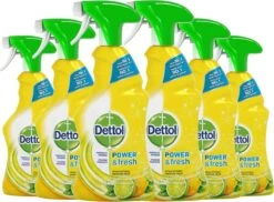 Dettol - Power & Fresh - Allesreinger Spray - Citrus - 6 X 500 Ml 20 Dettol - Power & Fresh - Allesreinger Spray - Citrus - 6 X 500 Ml -HG Winkel 1200x885 1
