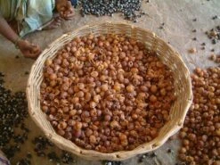 Wasnoten Start 150gr Met Waszakje - Zeepnoten - Natuurlijk Wassen -HG Winkel 1200x900