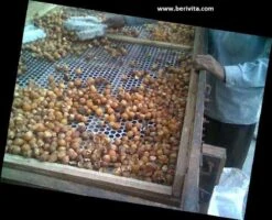 Wasnoten Start 150gr Met Waszakje - Zeepnoten - Natuurlijk Wassen -HG Winkel 1200x973