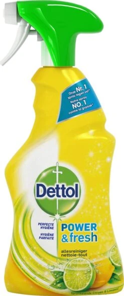 Dettol - Power & Fresh - Allesreinger Spray - Citrus - 6 X 500 Ml 14 Dettol - Power & Fresh - Allesreinger Spray - Citrus - 6 X 500 Ml -HG Winkel 504x1200 5