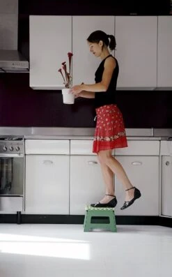 PUHLMANN - Inklapbare Kruk, JAMES, Plastic, Groen, 22 Cm Hoog, Max 100kilo -HG Winkel 746x1200 3