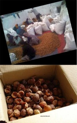 Wasnoten Start 150gr Met Waszakje - Zeepnoten - Natuurlijk Wassen -HG Winkel 755x1200